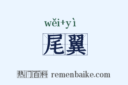 尾翼是什么意思的图片